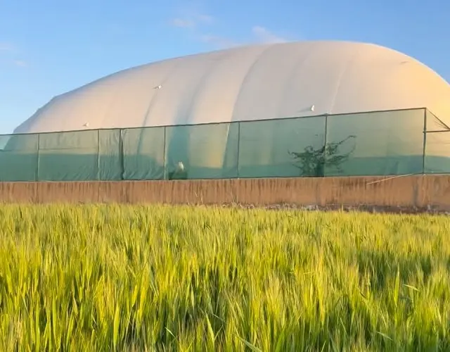 The Baseline Courts air dome beyond a field of wheat