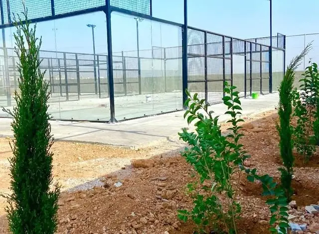 Young trees planted beside the courts